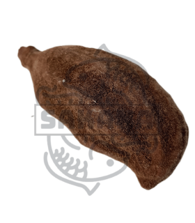 Fruto Baobab 1 und.