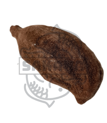 Fruto Baobab 1 und.