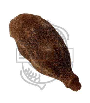 Fruto Baobab 1 und.