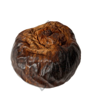 Cáscara de Talami 1 und.