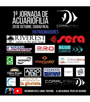 Workshop Hardstyle Event