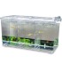 Paridera Exterior Nido 5 | Hobby