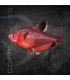 Tetra Serpae 2-3 cm | Hyphessobrycon serpae