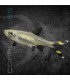 Tijerita 4-5 cm | Rasbora trilineata