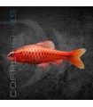Barbo Cereza 3-3.5 cm | Puntius titteya