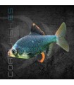 Barbo Tetrazona Verde 3-3.5 cm | Puntius tetrazona