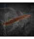 Kuhli Negro 5-6cm | Pangio oblonga