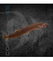 Kuhli Negro 5-6cm | Pangio oblonga