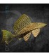 Plecostomus Mariposa 5-6 cm | Pterygoplichthys gibbiceps
