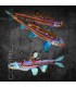 Pez Arcoíris Brillante 4-6cm | Notropis chrosomus