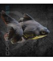 Telescópico Negro 4-5cm | Carassius auratus
