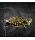 Tortuga Pavo Real 3-4cm | Trachemys venusta