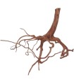 Rasamala Brown M | Pieza | Riverest