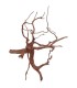 Rasamala Brown M | Pieza | Riverest