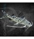Pez Gato Leopardo 5-6 cm | Pimelodella pictus
