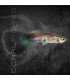 Guppy Macho Purple Queen 3-3.5 cm | Poecilia reticulata