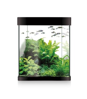 Kit Nano Aqualed Negro ICA