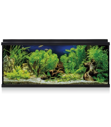Kit Acuario AquaLed 100 | ICA