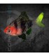 Barbo Rubi 3-4 cm | Puntius nigrofasciatus
