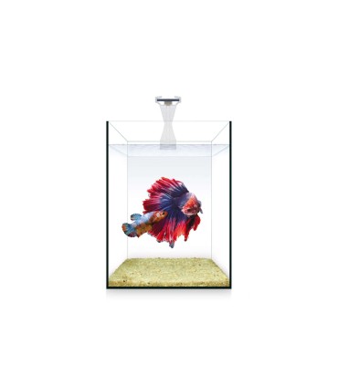 Kit Nano Nature 4 L.