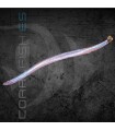 Kuhli Neón 5-7 cm | Pangio doriae
