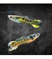 Guppy Endler Golden Leopard Macho | Poecilia wingei
