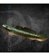 Gobio Azul 3-3.5cm | Stiphodon atropurpureus