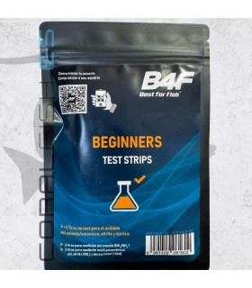 Test Beginners B4F