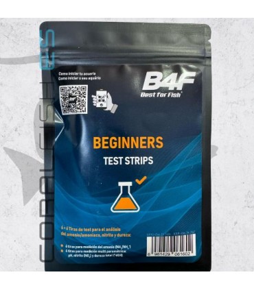 Test Beginners B4F