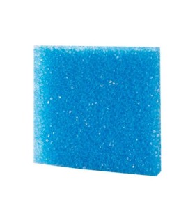 Esponja Foamex Poro Grueso 50x50x5cm Azul | Hobby