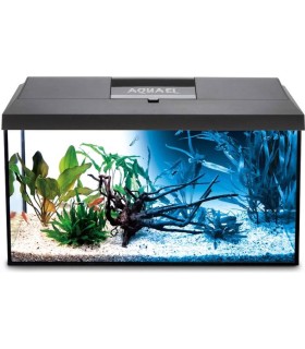 Aquarium Set Leddy 60 D&N 2.0 AquaEl