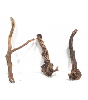 Coral Sinker Wood | Por Peso | Riverest