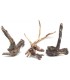 Coral Sinker Wood | Por Peso | Riverest