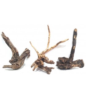 Coral Sinker Wood | Por Peso | Riverest