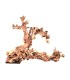 Shenmu Wood | Por Peso | Riverest