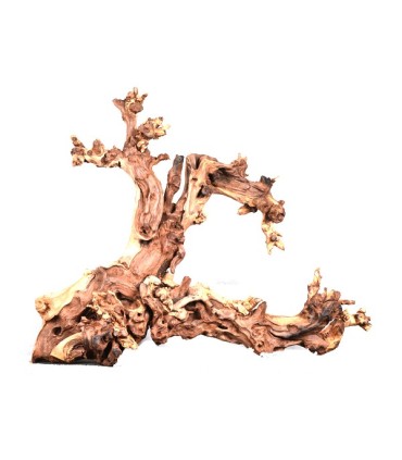Shenmu Wood | Por Peso | Riverest