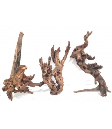 Shenmu Wood | Por Peso | Riverest
