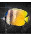 Chaetodon kleinii S | Pez Mariposa Sunburst