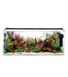 Kit Acuario Congo 75 L 60x35x35cm | B4F