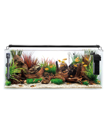 Kit Acuario Congo 75 L 60x35x35cm | B4F
