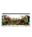 Kit Acuario Congo 75 L 60x35x35cm | B4F