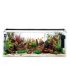 Kit Acuario Congo 60 L 60x30x35cm | B4F