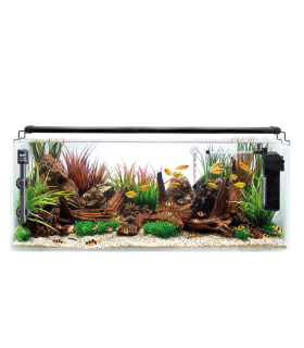 Kit Acuario Congo 60 L 60x30x35cm | B4F