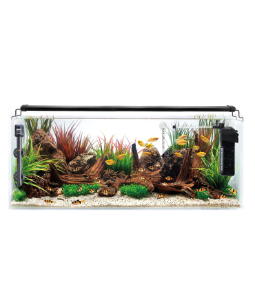 Kit Acuario Congo 60 L 60x30x35cm | B4F