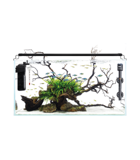 Kit Acuario Congo 45 L 50x28x32cm | B4F