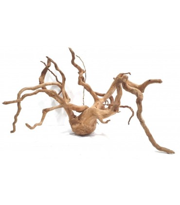 Spider Wood | Por Peso | Riverest