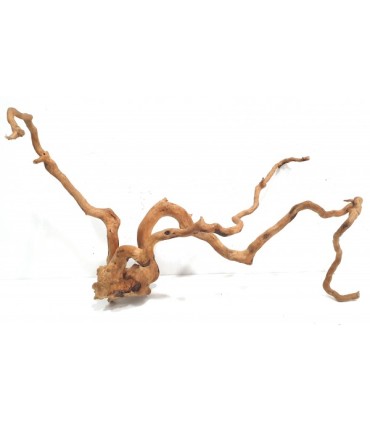 Spider Wood | Por Peso | Riverest