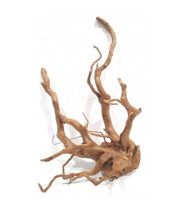 Spider Wood | Por Peso | Riverest