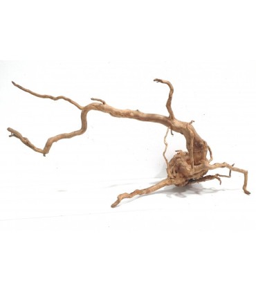 Spider Wood | Por Peso | Riverest
