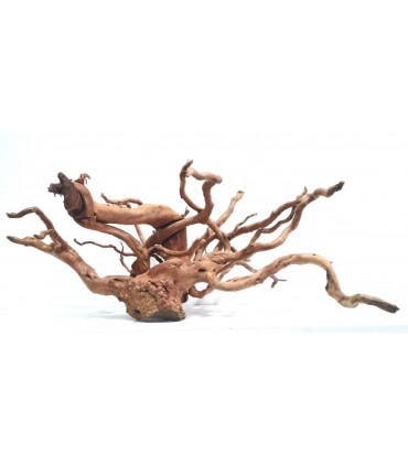 Spider Wood | Por Peso | Riverest